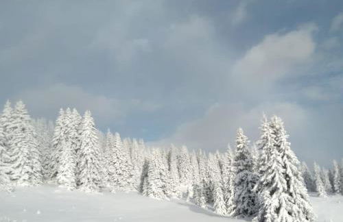 Appartamento l’ Aier - Arabba - Dolomiti - Foto 21