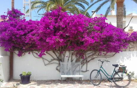 Cortijo de Mariangela UNO - Foto 26