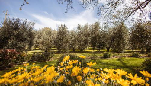 Bio Agriturismo I Lapi - Foto 3