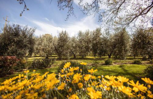 Bio Agriturismo I Lapi - Foto 3