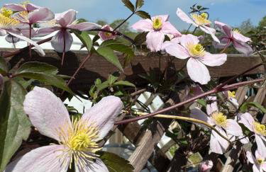 Calm Oasis Honley Bridge - Foto 32