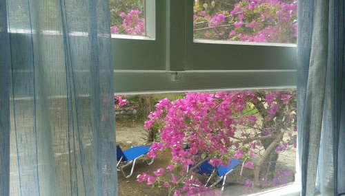 Villa Galinotis - Foto 4, Garden view