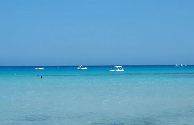 BB Mondello Design - Photo 55