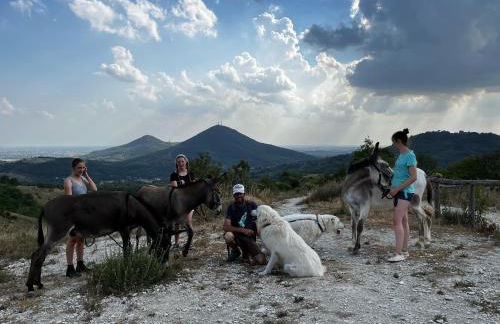 Holiday House Petrarca - Photo 28