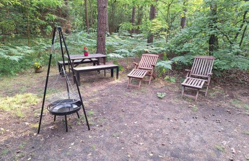 Wilga - urokliwy dom z bala (50 km od Warszawy) - Foto 2