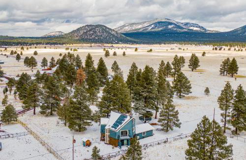 Wild Bill Retreat Treehouse Acre of Fun Near Grand Canyon Williams - Photo 41