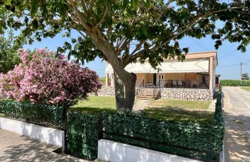 Mary's Villa - Foto 27