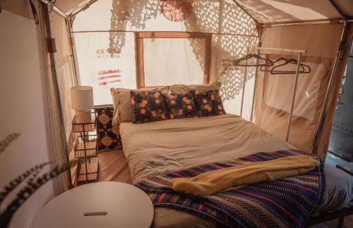 Oscar the Puma at Field of Dreams - Foto 10