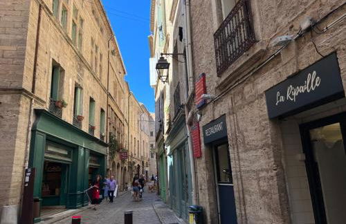 Pézenas Centre Historique - plages à 20 mn - Foto 18