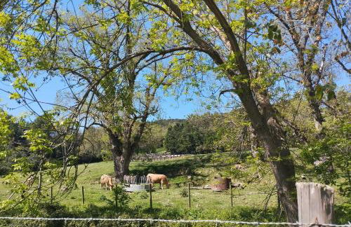 Etxalo, apartamento con terraza en Gorliz - Foto 51