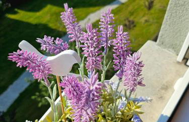 Urban spirit - Foto 23