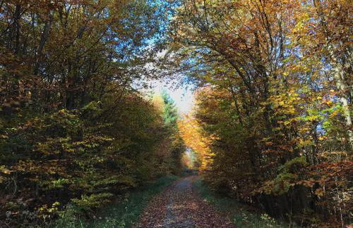 Weite Blicke in Horn - Foto 24