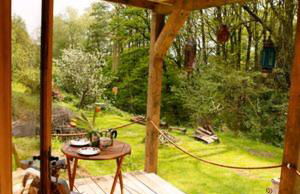 Little Hollows Glamping - Foto 23