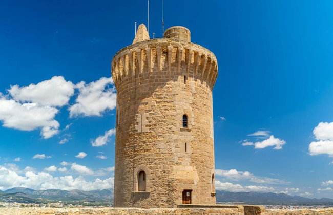 Ultimate Palma Tour: Historic Highlights Palaces, Gardens & Cathedral Tour - Foto 14