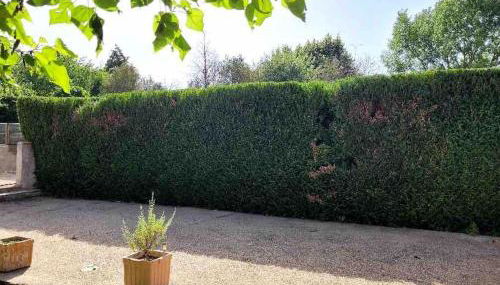 IRON MAN offer a villa located right on the river - Foto 5, Garden