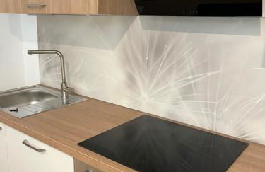 ANER 6 eleganter Loft mit Infrarotsauna in Dresden Weißer Hirsch - Foto 7