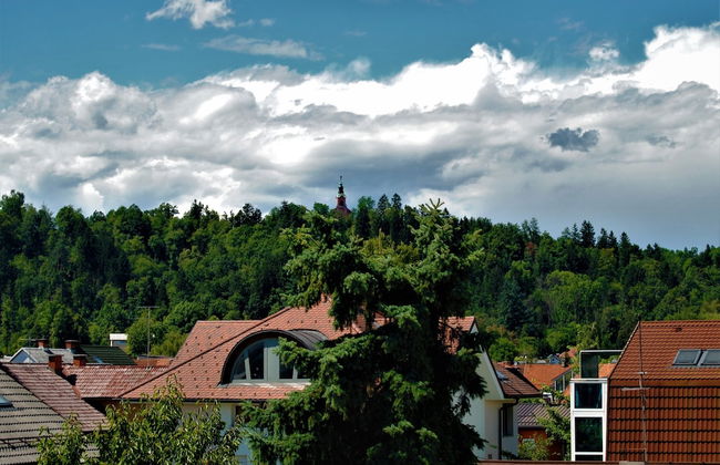 Rose Valley Ljubljana - Foto 20