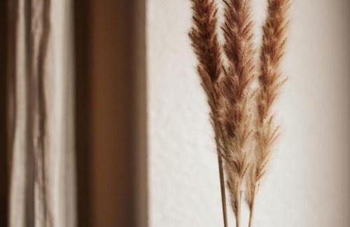 Ahoi Lotta - Foto 11