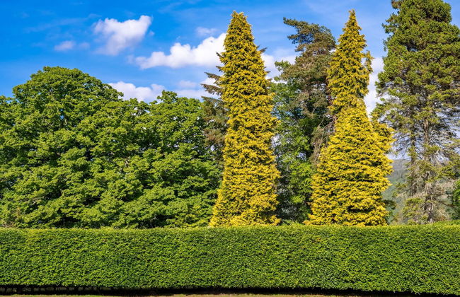 The Highland Club - Foto 55