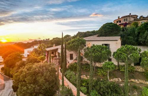 Mas Nou 476 - Foto 46