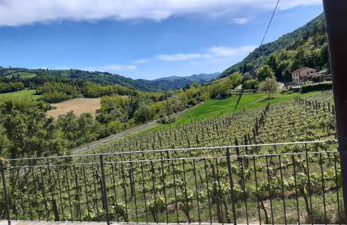 Agriturismo PEDROSOLA - Photo 53