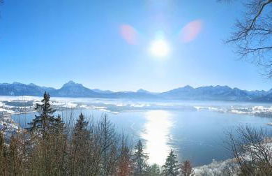 Ferienhaus Mayr - Ferienwohnung Bergblick - Foto 34