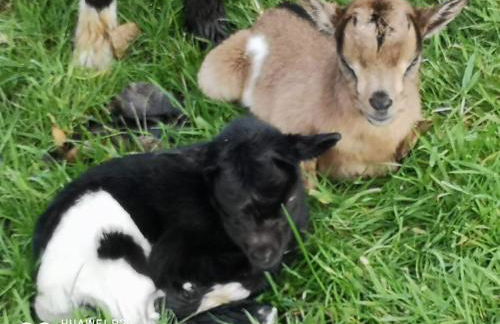 Gîte du Paradis Normand - Foto 22