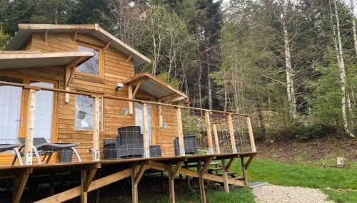 Chalet de l'Abondance - Foto 3