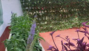 Plaça de l'Almudí, where else! - Foto 5