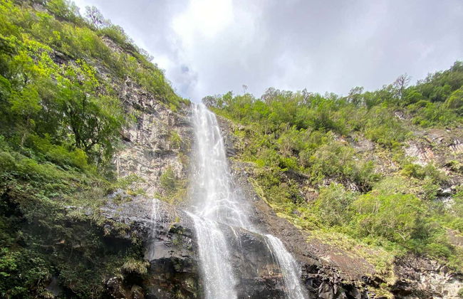 Pedra Branca Waterfall 4x4 Tour - Photo 2