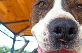 Casa Rural MONTE VERDE - Foto 27