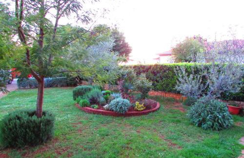 Apartman Perci Vrh - Foto 30