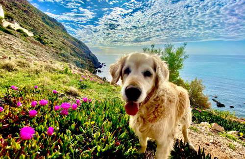 Apartamento Familiar Torre del Rayo - Photo 21