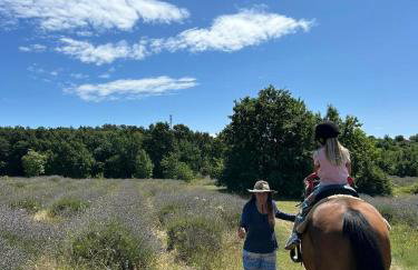 Golden Valley apartment & ranch - Foto 25