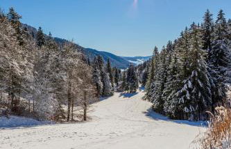 Cabane perchée La Résilience sur le plateau du Vercors - Foto 24