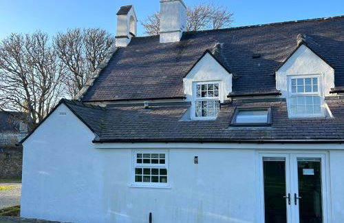 Bodior Garden Cottage Bach - Photo 22