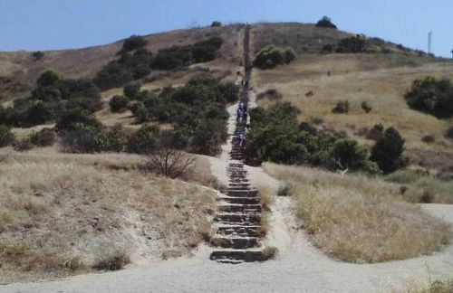 Adorable 2BR-2BA House with EV & Free Parking and Family Friendly in Los Angeles - Photo 74