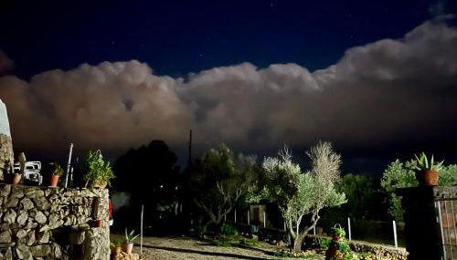 Trulli delle succulente - Foto 4