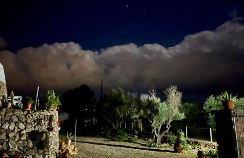 Trulli delle succulente - Foto 4