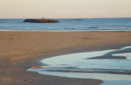 Le chant du Cèdre - Foto 3