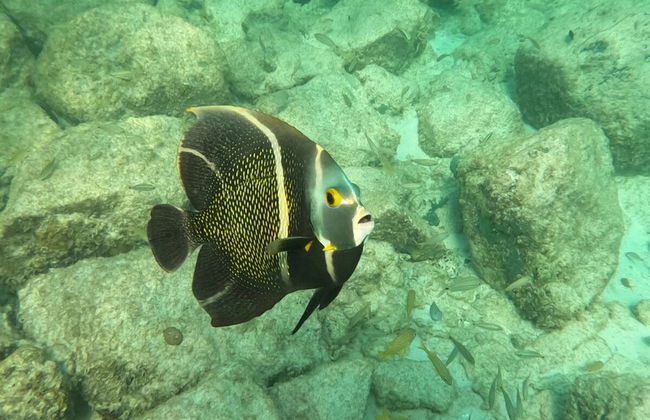 Modern Trestrapi Beach Villa 8 bed 8 Bath 2 Pools - Foto 70