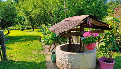 Le Gite de Colette et Jean-Claude - Photo 5