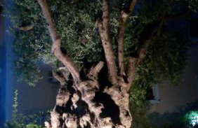 Marketos Apartments - Foto 40