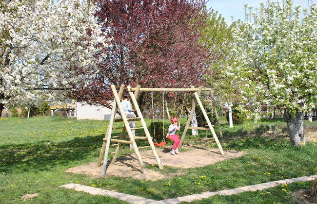 Sunčani Apartments - Foto 20