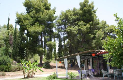 Terry Land Village - Foto 10