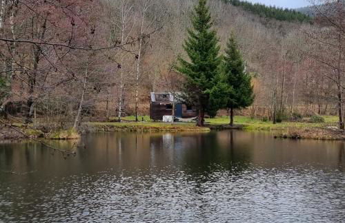 Insolite Tiny House Sérénité Bien Être - Foto 31