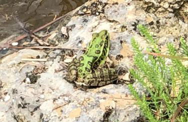 Fishers Of Men Ranch Home - Photo 26