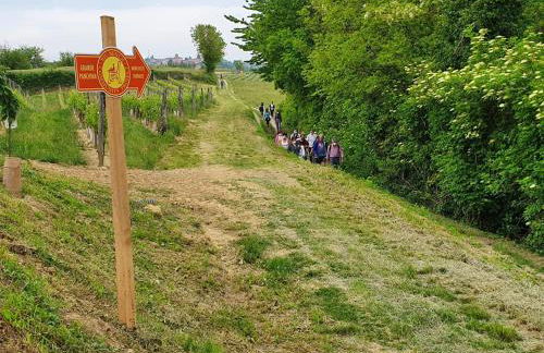 La casa rossa nel Monferrato a Moncucco Torinese - Foto 38