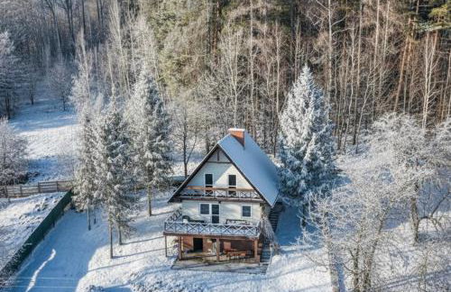 Klimatyczny dom z widokiem na Babią - kominek i ogrodzenie - Foto 46