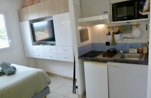 Charmant studio le clos d'Aix parking privé gratuit et piscine - Foto 16